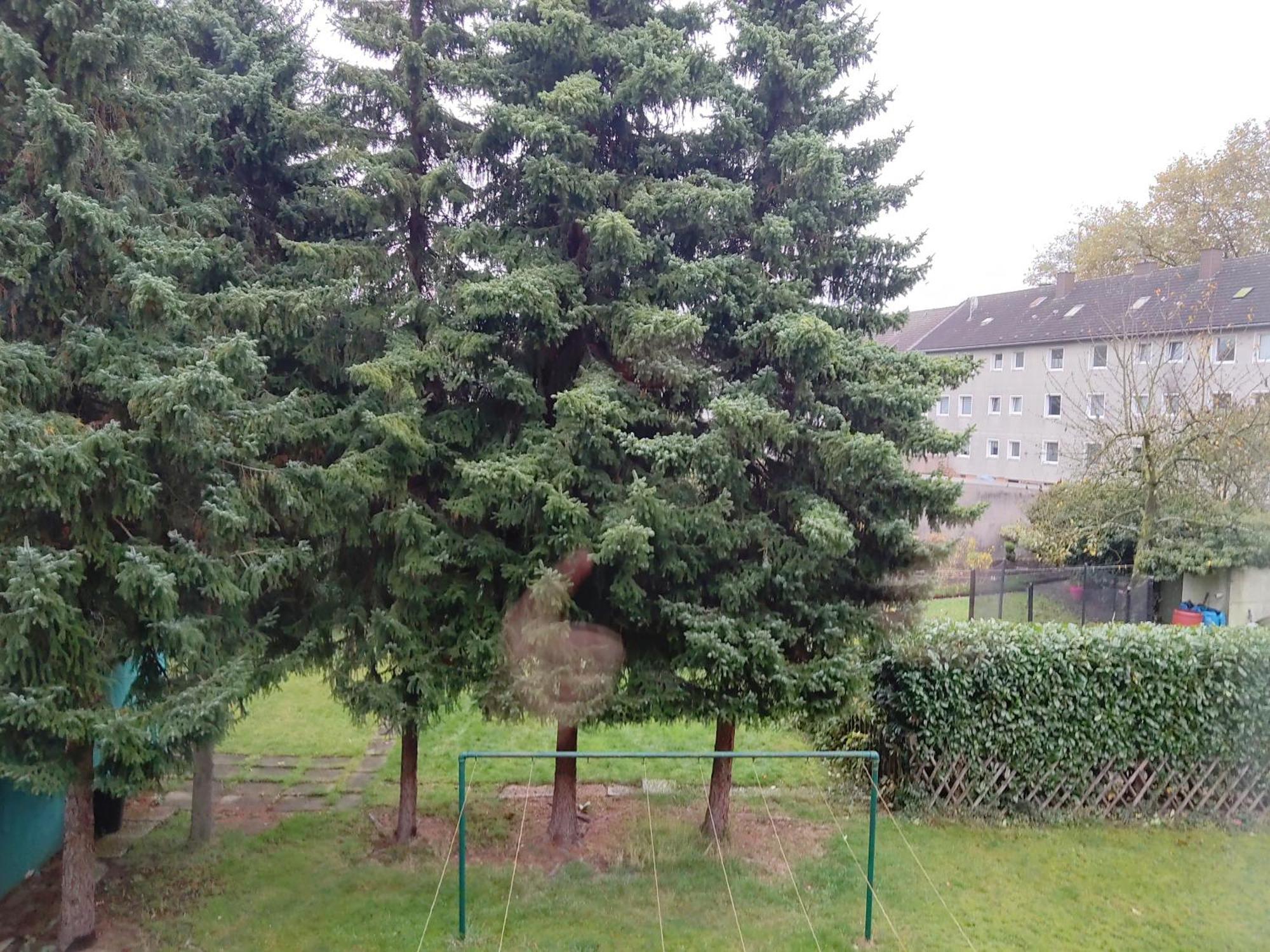 Komfortables Und Ruhiges Apartment Gelsenkirchen Kültér fotó